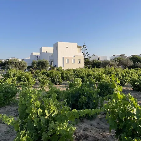 アパート Mare Monte Naxos