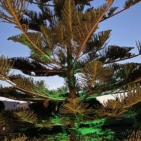 Mare Monte Naxos アパート *