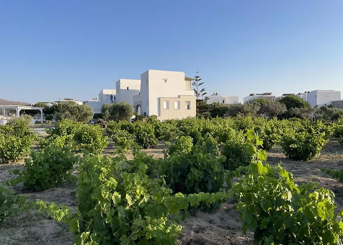 شقة Mare Monte Naxos