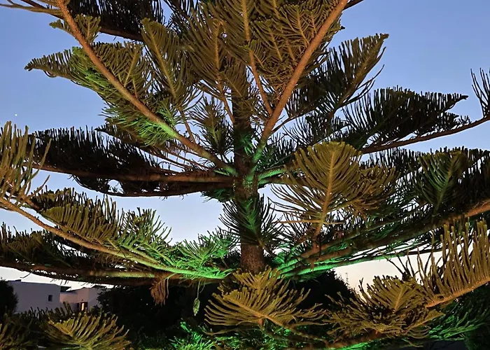 Mare Monte Naxos شقة *